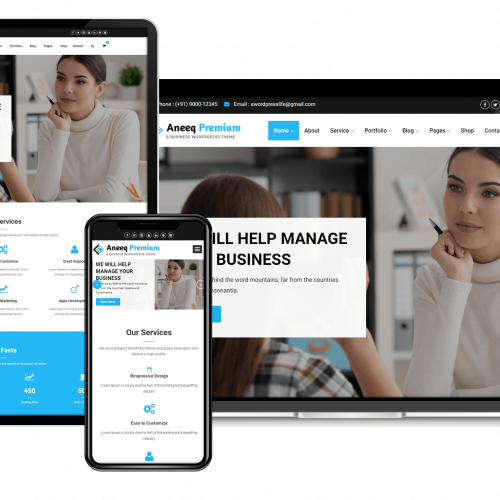 Aneeq WordPress theme