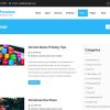 Aneeq WordPress theme