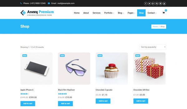 Aneeq WordPress theme