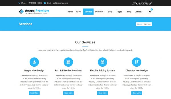 Aneeq WordPress theme