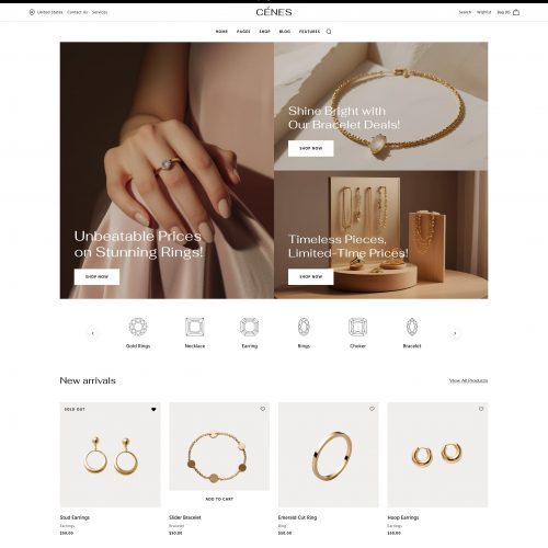 Jewelry WordPress Store Theme