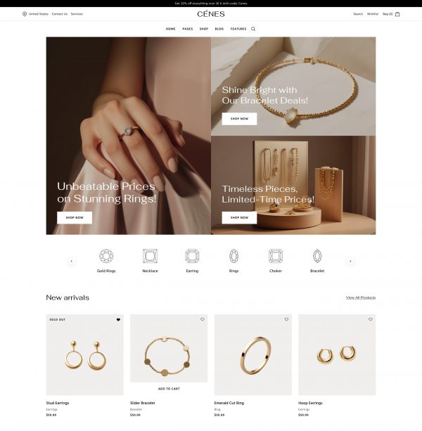 Jewelry WordPress Store Theme