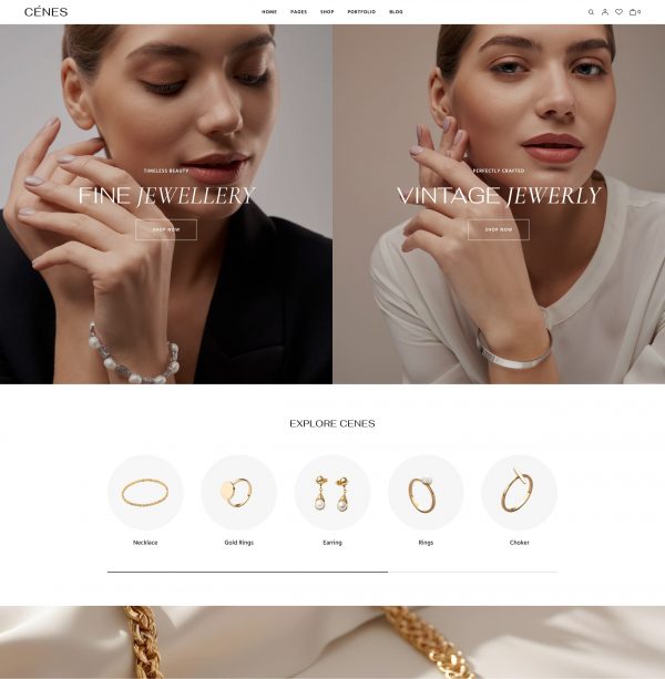 Jewelry WordPress Store Theme